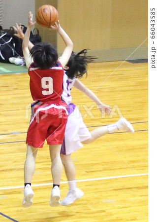 バスケットボール バスケットボール 66043585