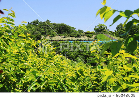 横浜市東戸塚平戸の春　旧東海道の風景　平戸みはらし公園　権太坂から平戸へ 66043609
