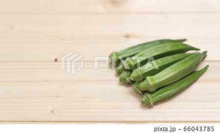 オクラ オクラ 66043785