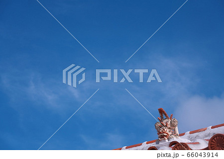 シーサー シーサー 66043914