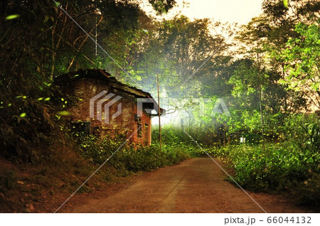 開国 林 森 66044132