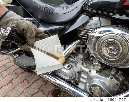 バイクの整備　オイル交換 66044747