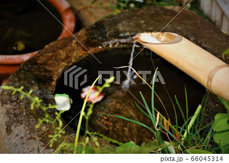 日本庭園の手水鉢 日本庭園の手水鉢 66045314