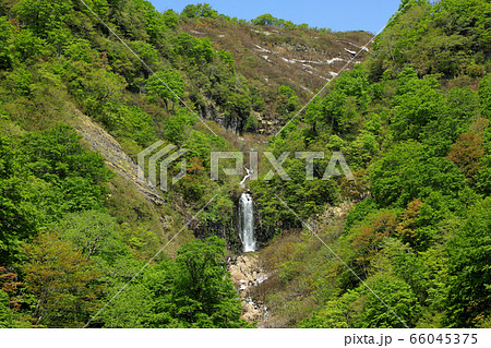 春のアイヨシの滝遠望－国道252号展望地から　福島県只見町 66045375