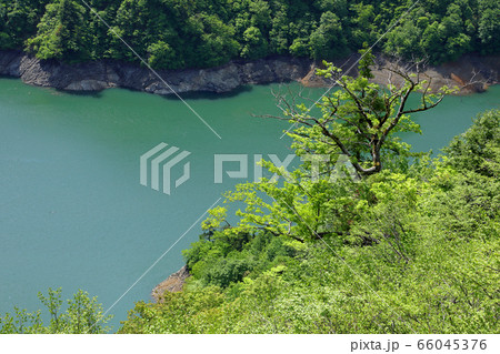 田子倉湖の湖面と樹木の新緑－国道252号六十里越峠開道記念碑から　福島県只見町 66045376