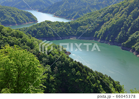 新緑の田子倉湖-国道252号六十里越峠開道記念碑から 福島県只見町 新緑の田子倉湖-国道252号六十里越峠開道記念碑から 福島県只見町 66045378