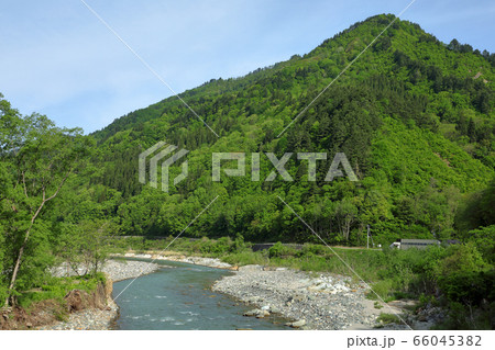 新緑の爼倉山と布沢川　福島県只見町 66045382
