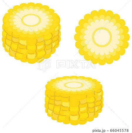 トウモロコシ 輪切りのイラスト素材