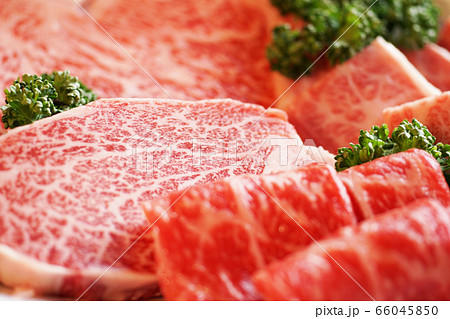 国産黒毛和牛の焼き肉 国産黒毛和牛の焼き肉 66045850