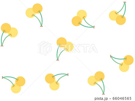 黄色いサクランボ 66046565