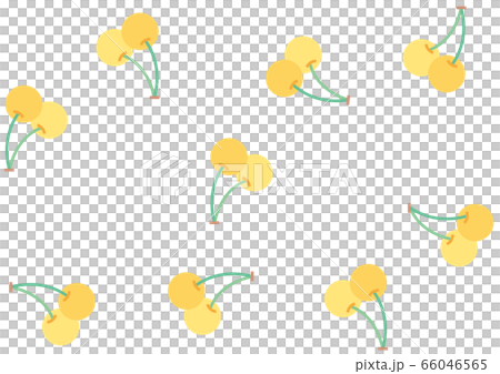 黄色いサクランボ 66046565