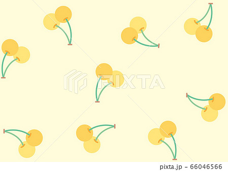 黄色いサクランボ 黄色いサクランボ 66046566