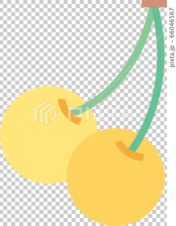 Yellow cherries 66046567