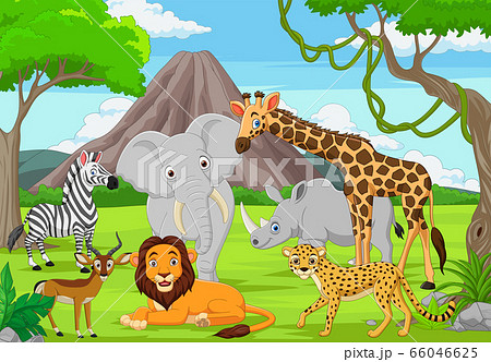 Cartoon wild animals in the jungle Cartoon wild animals in the jungle 66046625