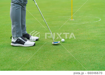 Golfer preparing for a putt Golf ball on the green during golfcourse. 66046670