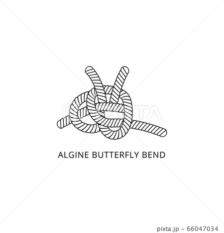 Algine butterfly bend nautical rope knot thin line vector illustration isolated. Algine butterfly bend nautical rope knot thin line vector illustration isolated. 66047034