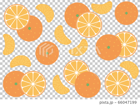 みかんのイラスト素材 [66047199] - PIXTA