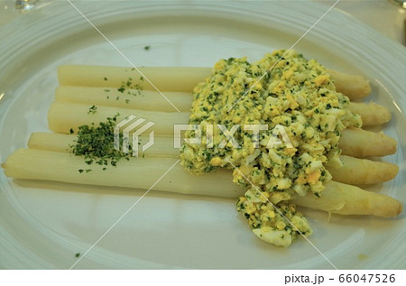 ホワイトアスパラガスのエッグソース掛け 66047526