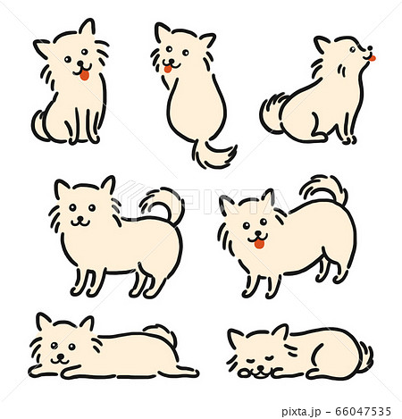 チワワ かわいい イラストのイラスト素材