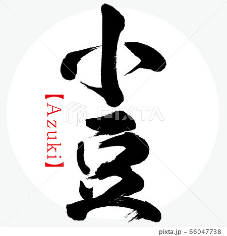 小豆・北海道の特産品（筆文字・手書き・漢字） 66047738