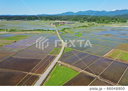 田んぼ　空撮 66048800