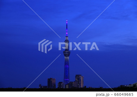 都市風景 荒川河川敷から東京スカイツリーを望む 都市風景 荒川河川敷から東京スカイツリーを望む 66049665