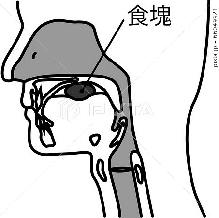 医療 介護 福祉 イラスト 身体介護 生活 医療 介護 福祉 イラスト 身体介護 生活 66049921