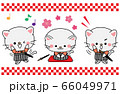 白猫・サムライ・しろねこ・お侍さん・kitty・samurai 66049971