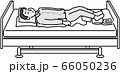 医療　介護　福祉　イラスト　身体介護　生活 66050236