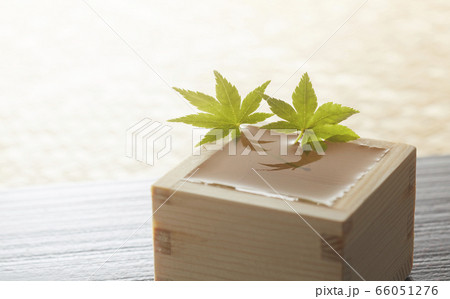 酒-一合升-青紅葉 酒-一合升-青紅葉 66051276