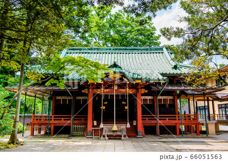 東京都 赤坂氷川神社　社殿 66051563
