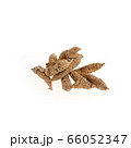 Ginseng or Dried Ginseng on a background new. 66052347