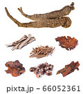 chinese herbal or herbal medicine on the 66052361