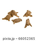 Ginseng or Dried Ginseng on a background new. 66052365