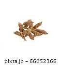 Ginseng or Dried Ginseng on a background new. 66052366