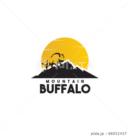 Bull logo design vector illustration template 66052437