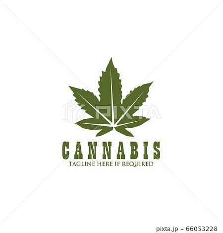 Cannabis leaf icon logo design vector template 66053228