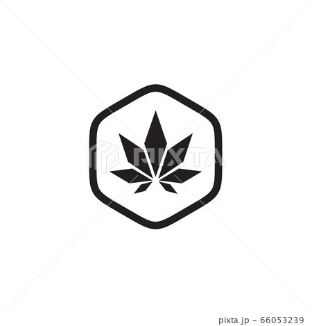 Cannabis leaf icon logo design vector template 66053239