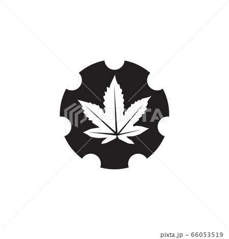 Cannabis leaf icon logo design vector template 66053519