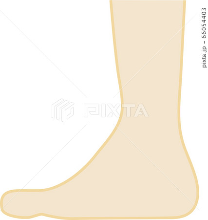 偏平足のイラスト 66054403