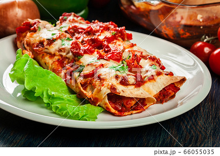Traditional mexican enchiladas with chicken meat, 66055035