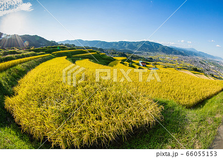 姨捨の棚田（長野県） 66055153