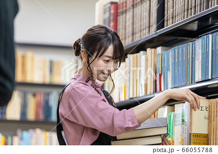 書店　店員　図書館　司書　スタッフ 66055788