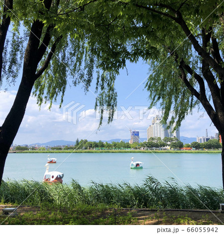 大邱 屋外 旅行 66055942