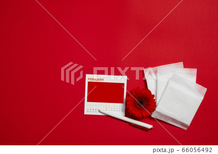 menstrual pads and red flower 66056492