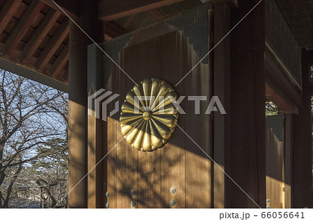 靖国神社の菊花紋章 66056641