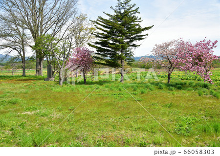 初夏の北海道厚沢部町で館城跡公園の風景を撮影 66058303