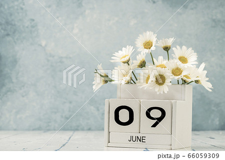 White cube calendar for june decorated with daisy 66059309
