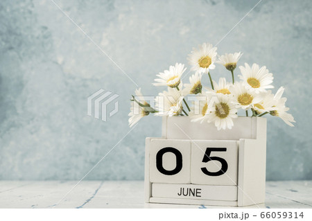 White cube calendar for june decorated with daisy White cube calendar for june decorated with daisy 66059314