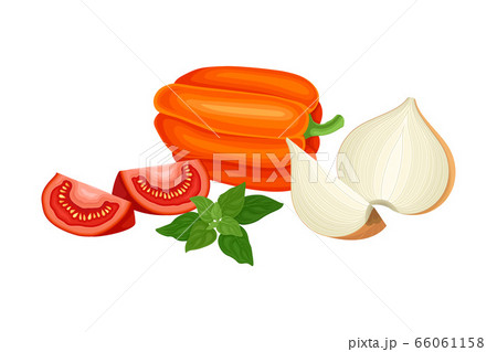 Vegetables with Tomato and Bell Pepper Vector Composition 66061158